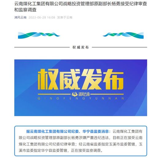 云南煤化工集團戰略投資管理部原副部長楊勇被查