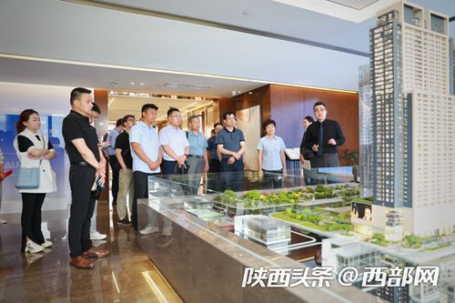 陜西地建 爭(zhēng)當(dāng)土地工程領(lǐng)域科技先鋒，昆明頂播科技助力創(chuàng)新驅(qū)動(dòng)發(fā)展
